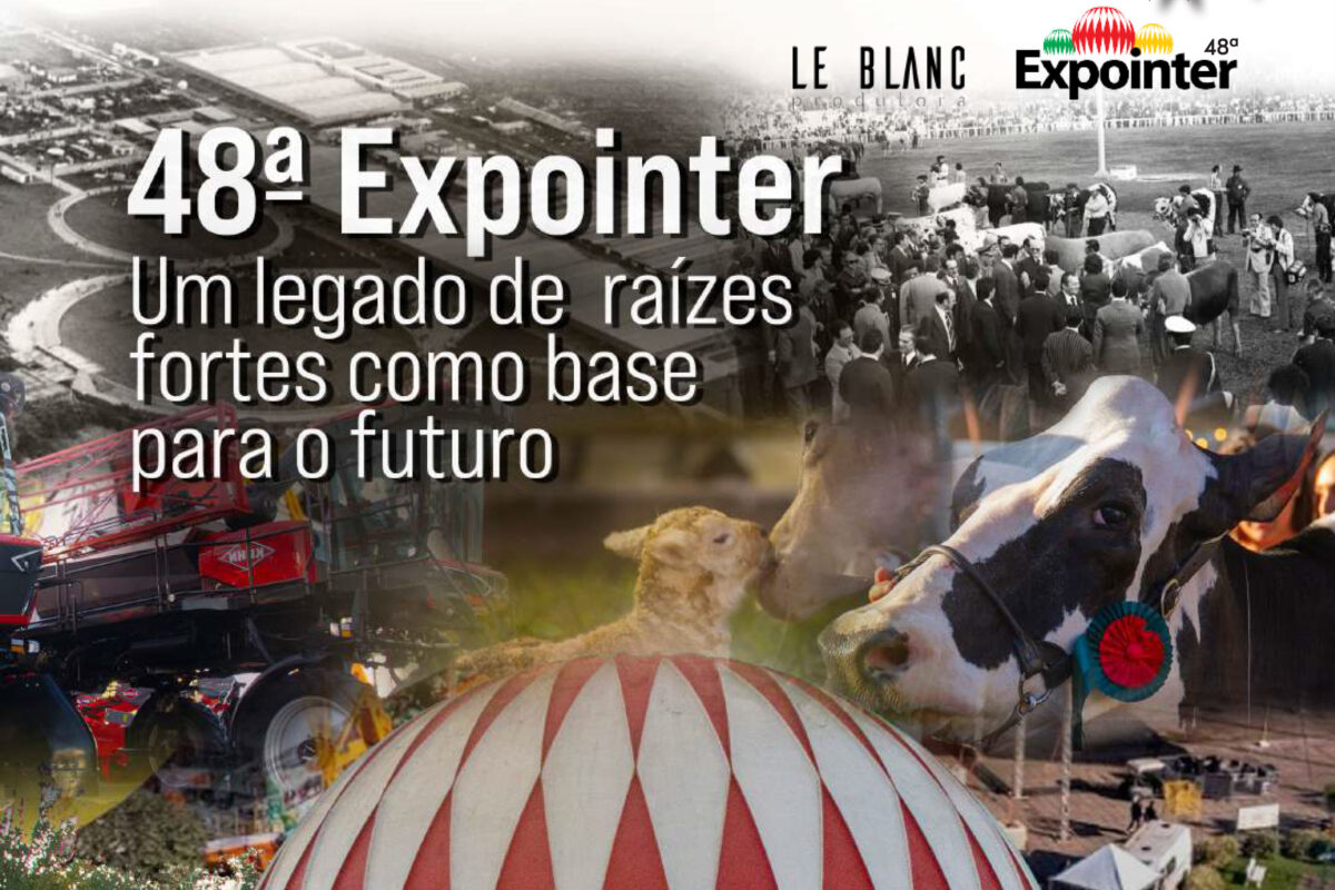Edição 2025